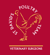 st davids poultry logo