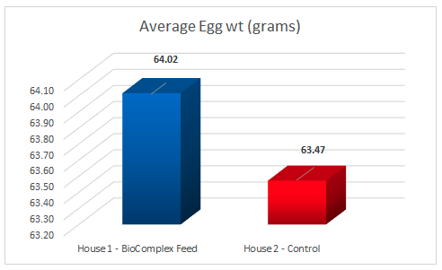 Layer Trial Average Egg Weight Graph