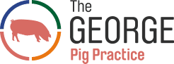 Georges Vet Pig Practice Logo